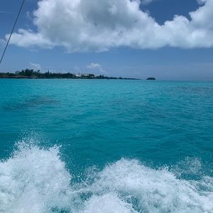 Meet your Posher, Mason